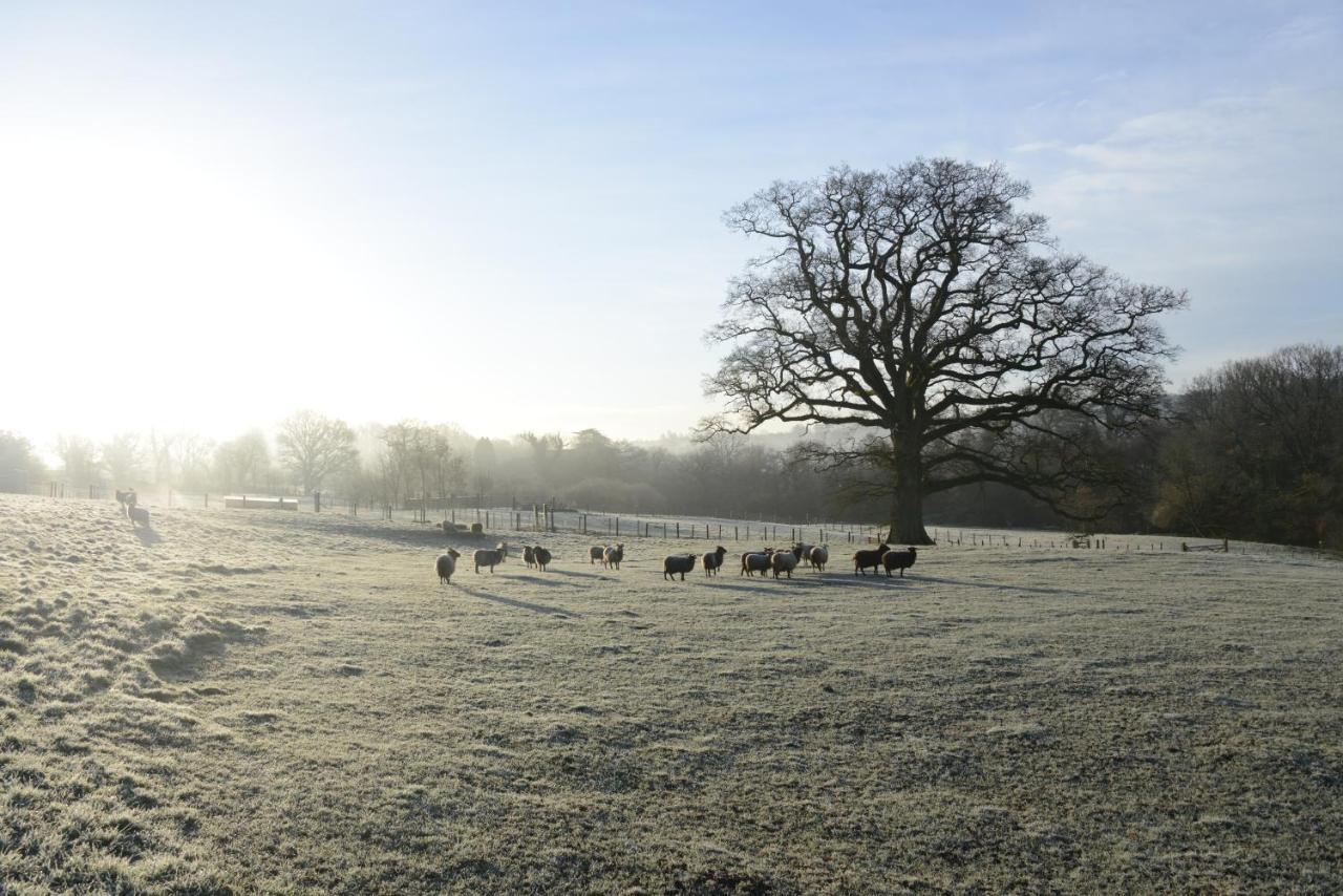 Upper Vobster Farm *